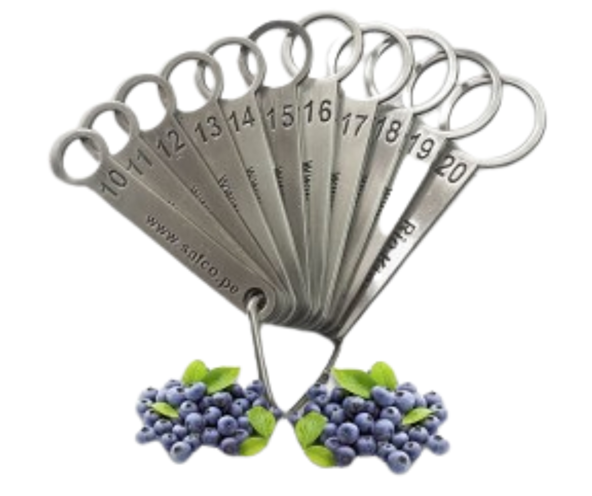 Copia-de-Copia-de-Copia-de-Copia-de-producto-canva-88